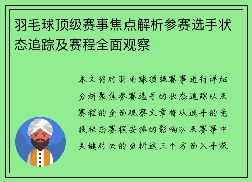 羽毛球顶级赛事焦点解析参赛选手状态追踪及赛程全面观察